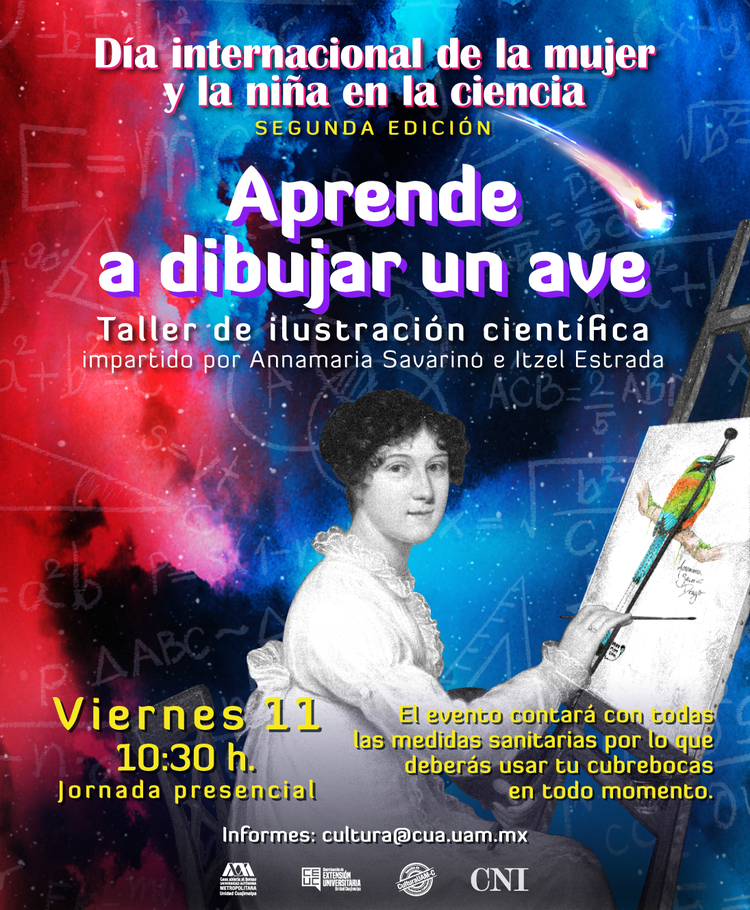 Cartel dibujar ave