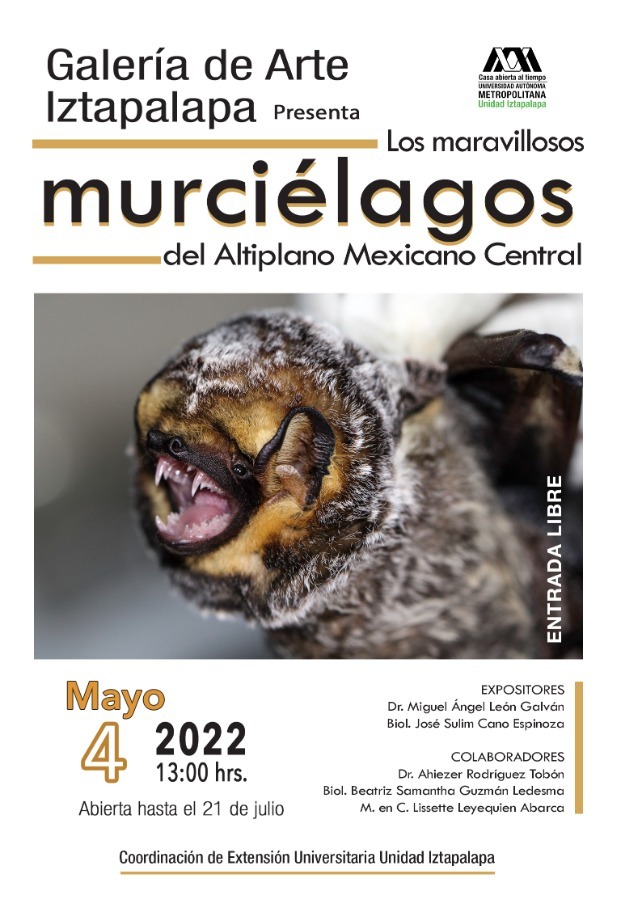 Murciélagos 1