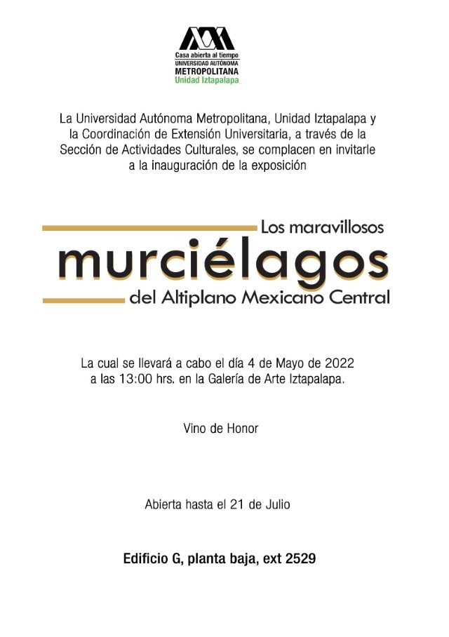 Murciélagos 2