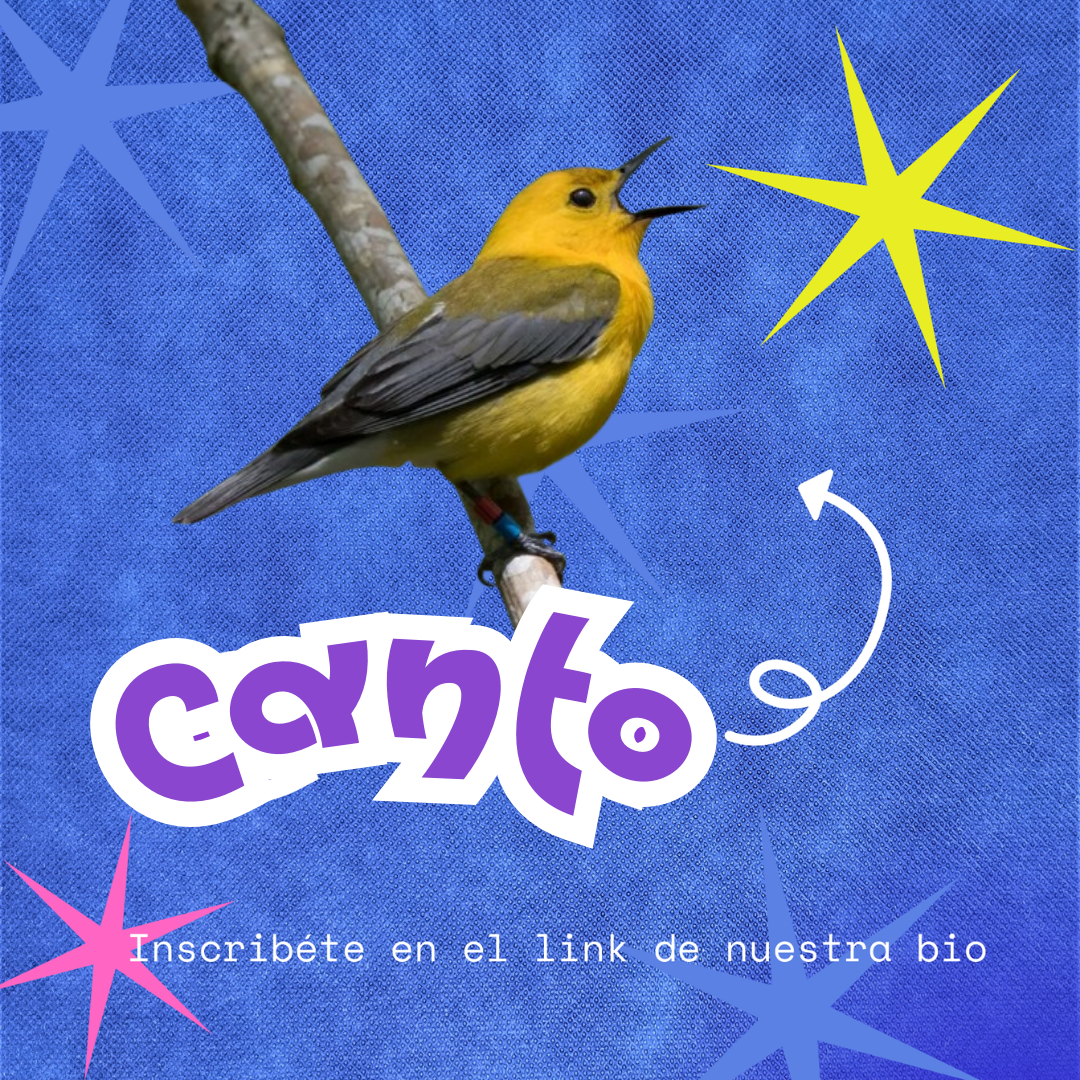 Taller de Canto